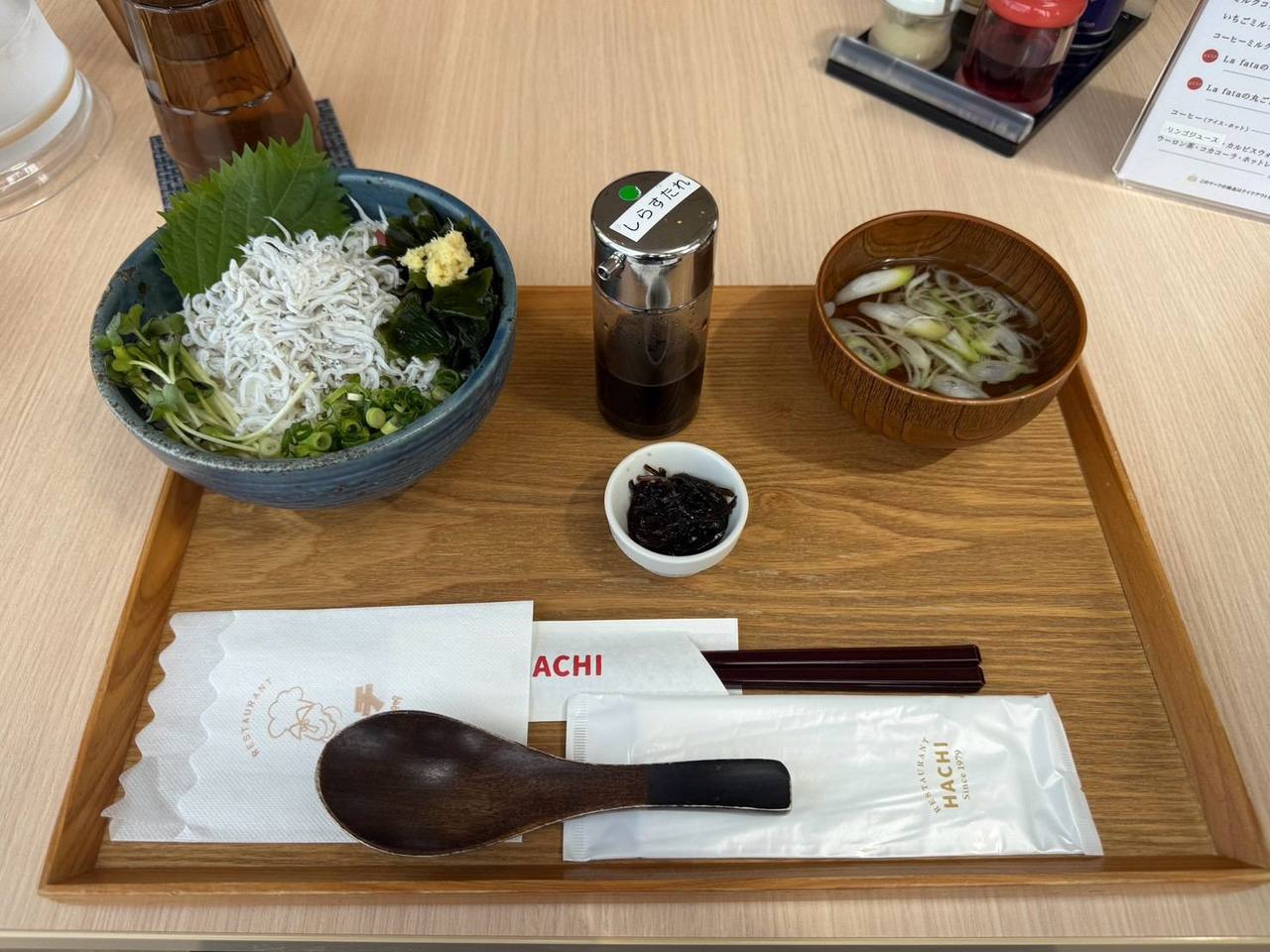 しらす丼